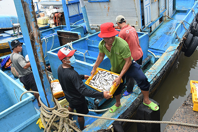 Xuất khẩu thủy sản Việt Nam đứng Top 3 thế giới